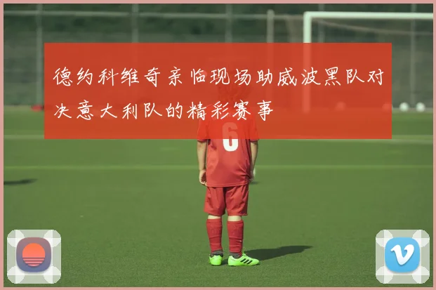 德约科维奇亲临现场助威波黑队对决意大利队的精彩赛事